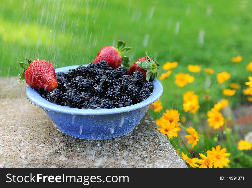 Blackberries and strawberries in a bowl with gentle rain next to yellow daises