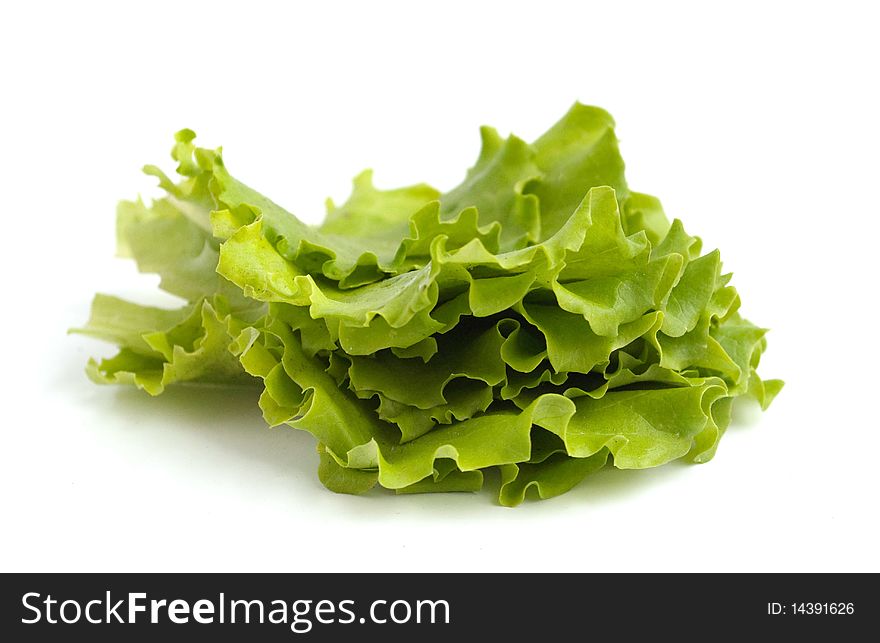 Salad Leaves