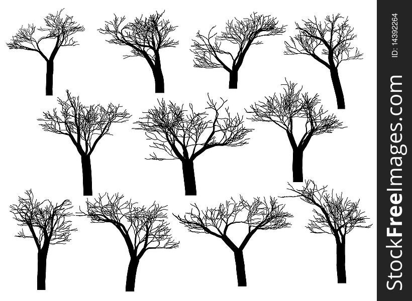 Silhouettes of trees on a white background
