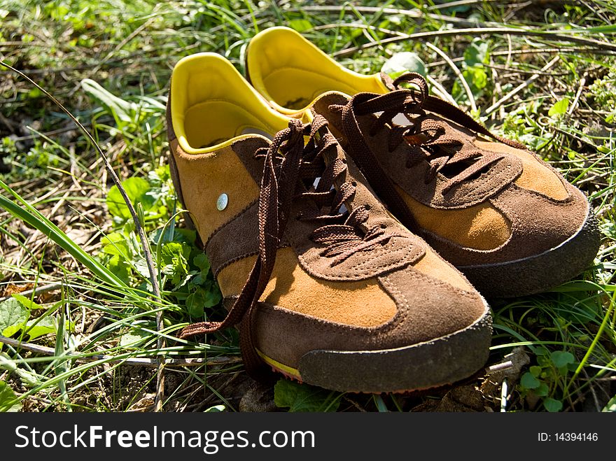 Brown training men's shoes in green grass. Brown training men's shoes in green grass