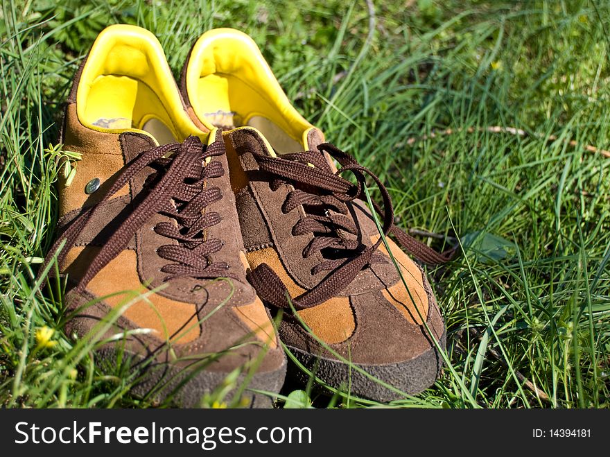 Brown training men's shoes in green grass. Brown training men's shoes in green grass