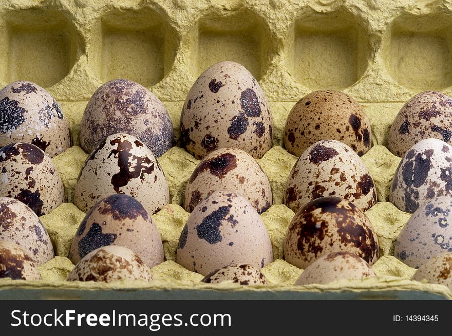 Quail eggs pack fragment macro shot background