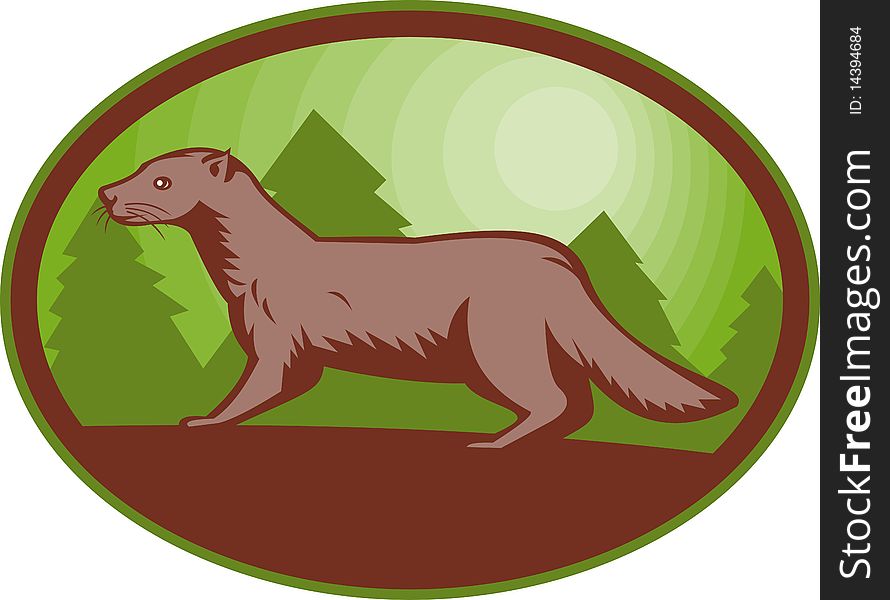 Illustration of a european mink side view set inside an oval.
