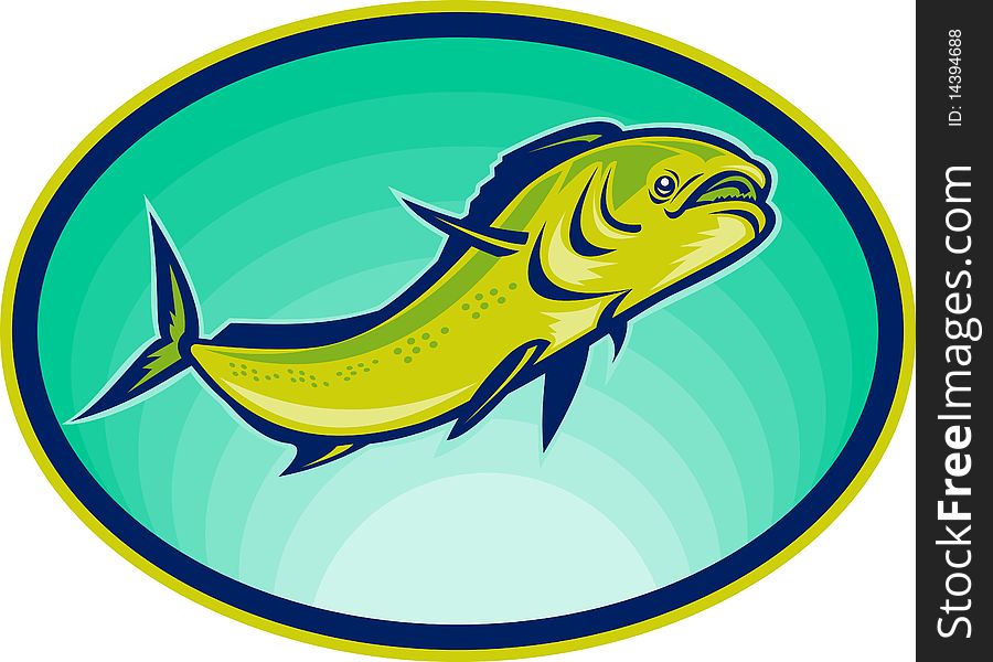 Illustration of a dolphin fish or mahi mahi swimming viewed from a low angle.