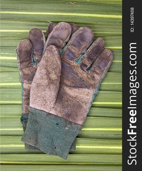 A pair of old gardening gloves on a background on Phormium leaves.