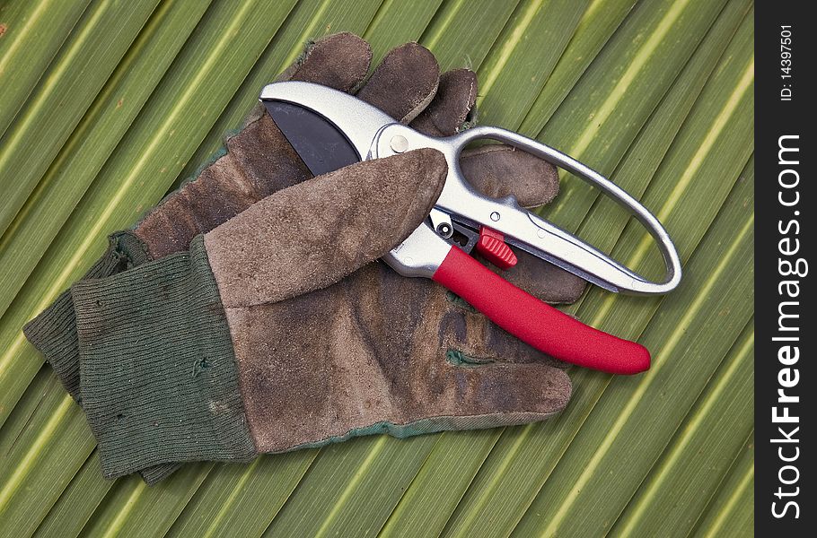 A pair of secateurs and old gloves on a leaf background. A pair of secateurs and old gloves on a leaf background.