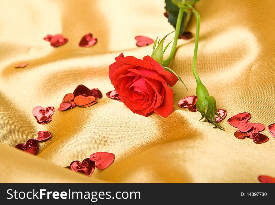 Red roses on a golden satin fabric. Red roses on a golden satin fabric