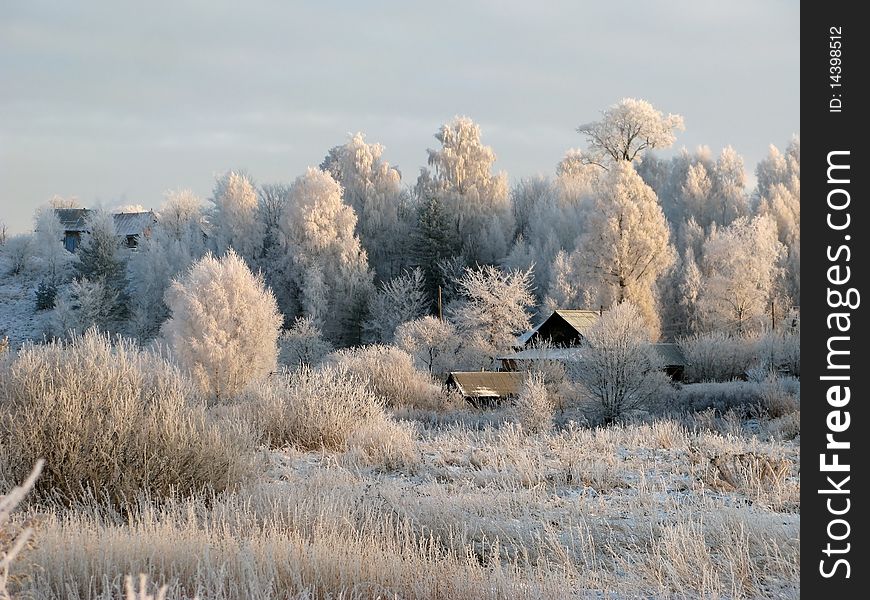 Village among trees covered by hoarfrost. Village among trees covered by hoarfrost