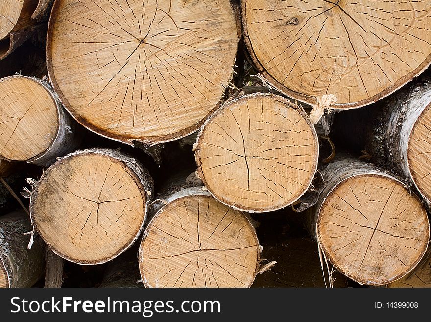 Cut trees neatly stacked in a pile