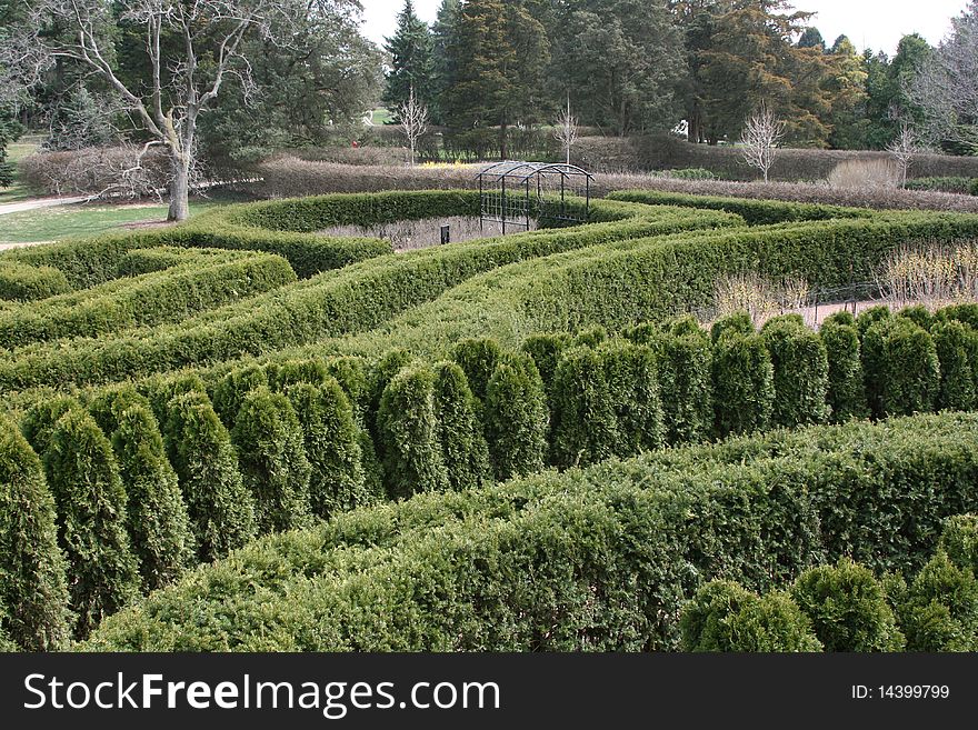 Evergreen hedges creating paths in a landscape maze. Evergreen hedges creating paths in a landscape maze.