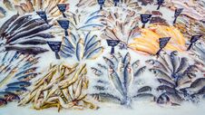 A Large Selection Of Fresh Fish Lying In The Ice On The Counter Of The Supermarket. Royalty Free Stock Photos A Large Selection Of Fresh Fish Lying In The Ice On The Counter Of The Supermarket. Royalty Free Stock Photos