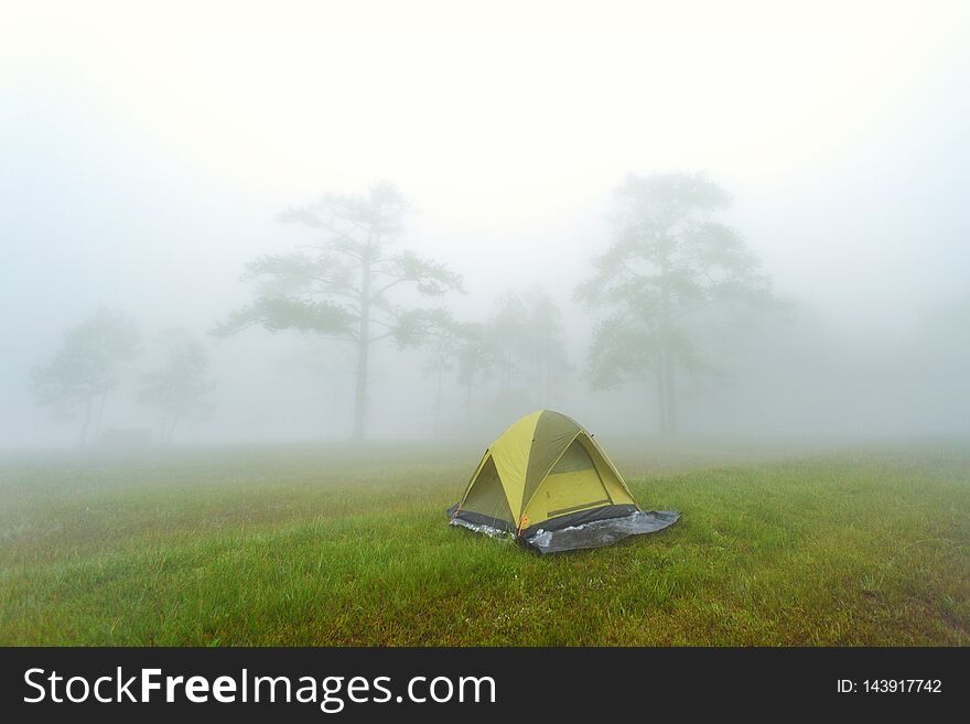 Tent in mountain and forrest with fog from thailand. Tent in mountain and forrest with fog from thailand