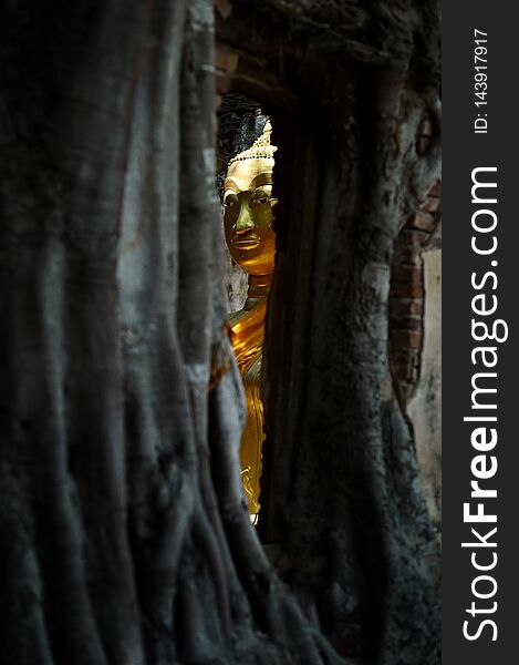 Gold buddha tree
