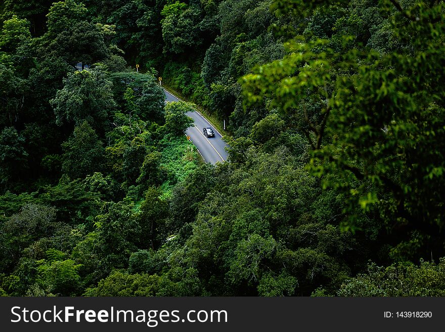 Road in mountain and green forrest hight view