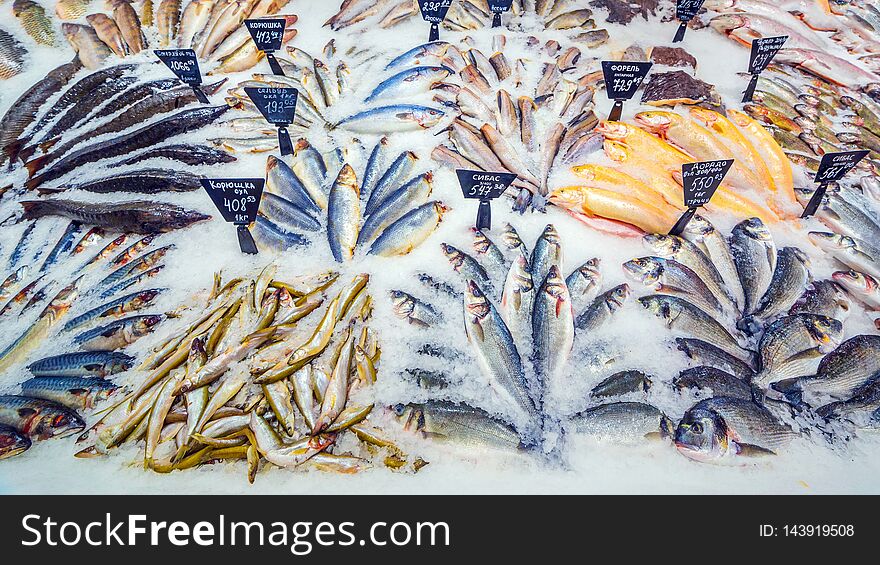 A large selection of fresh fish lying in the ice on the counter of the supermarket. Text in Russian: salmon, steak, piece, carp, Sylvia, pollock, cod, Atlantic, smelt, herring, trout, sea bass, catfish, Burbot, mackerel, bream, pike, Amur, crucian carp