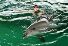 A Girl Swims With A Dolphin In The Pool, Communication With Animals. Bright Emotion Royalty Free Stock Photography