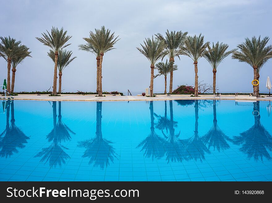 Palm trees reflected in a beautiful clean pool