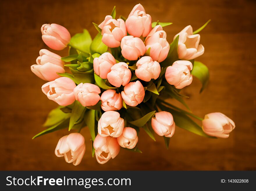 The bouquet of pink coral tulips on pastel background