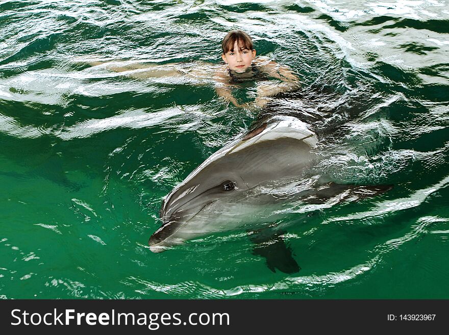 A Girl Swims With A Dolphin In The Pool, Communication With Animals. Bright Emotion