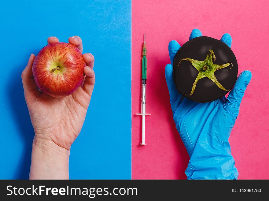 Dark Genetically Modified Tomato on Pink or Natural Red Apple on Blue. GMO Concept.