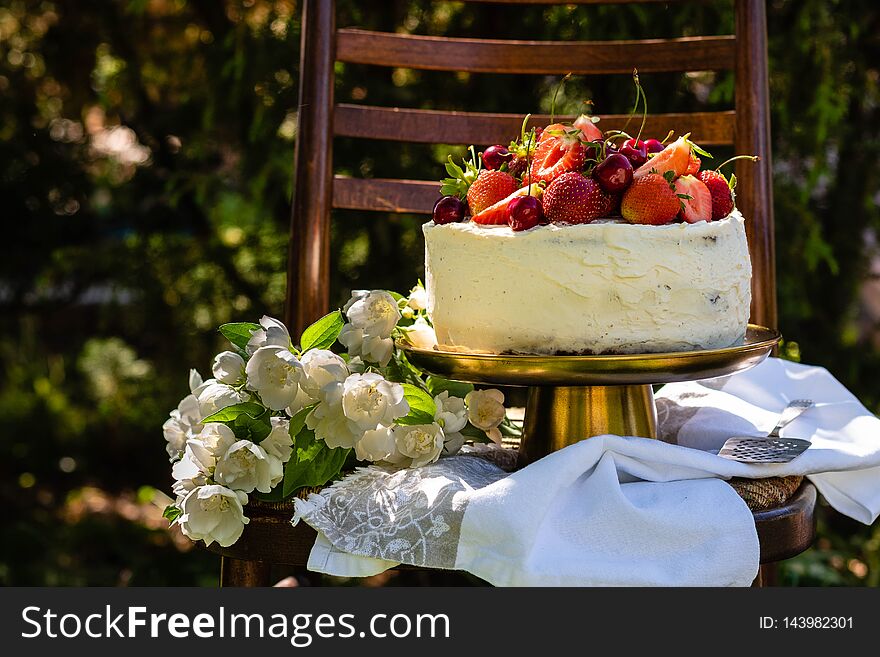 Cake with berries and cream on the background of nature.