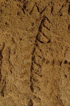 Lave Beds Petroglyphs Royalty Free Stock Images Lave Beds Petroglyphs Royalty Free Stock Images