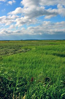 Green Field Royalty Free Stock Image Green Field Royalty Free Stock Image