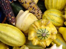Zucchini Stock Images Zucchini Stock Images