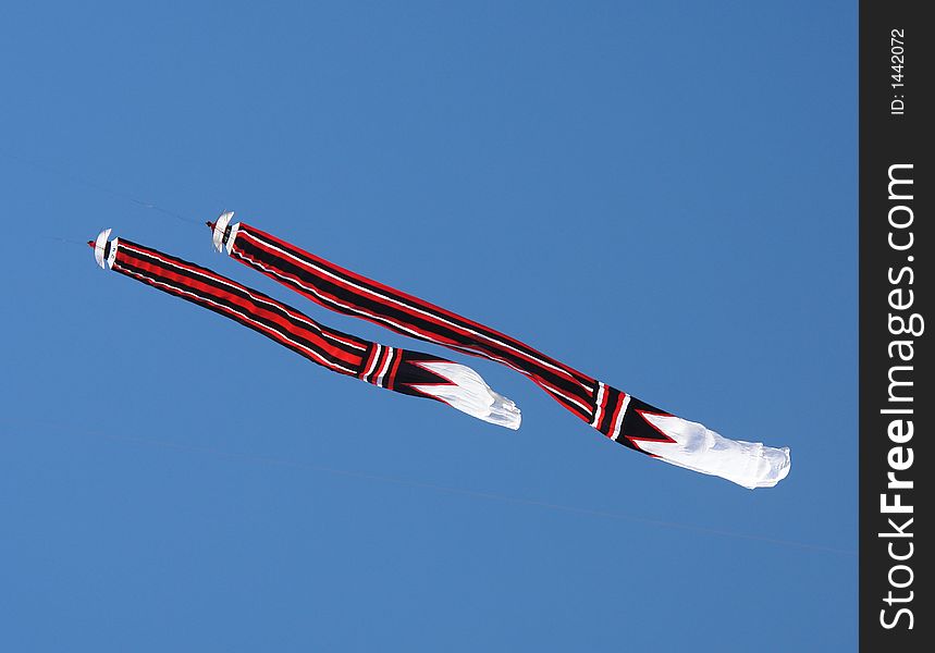 Twin Kite on the Blue Sky