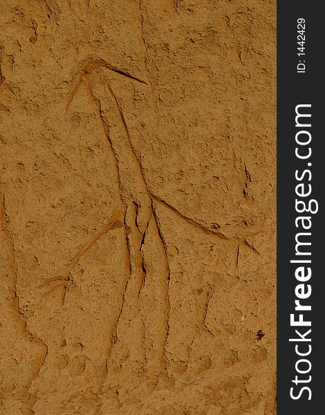 Lave Beds Petroglyphs