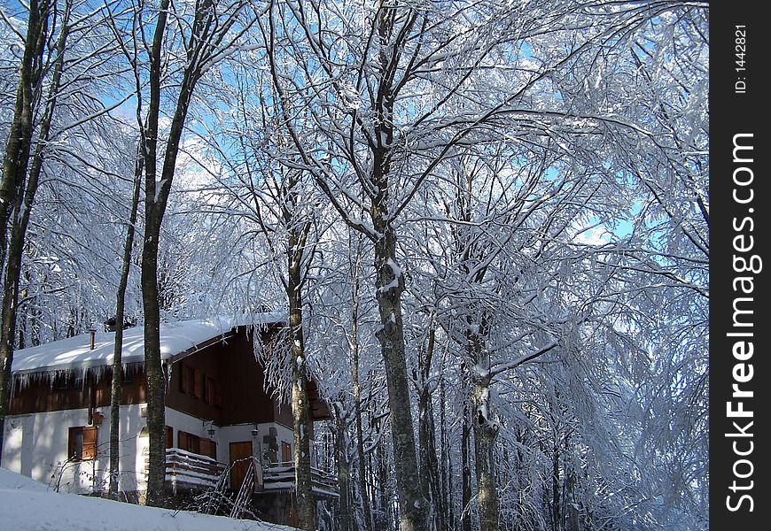 Mountain hut in a wood full of snow