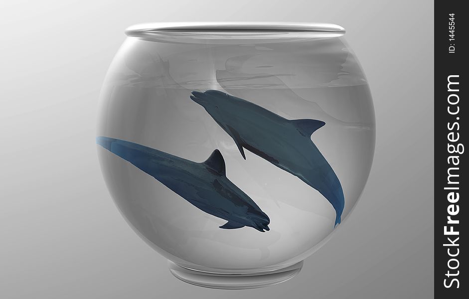 Two bottlenose dolphins swimming happily around a goldfish bowl. Two bottlenose dolphins swimming happily around a goldfish bowl