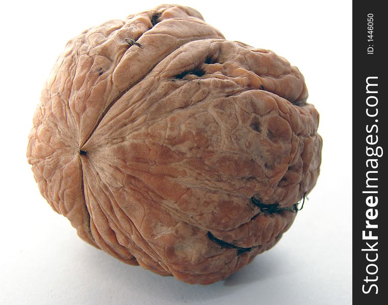 Closeup of a big walnut on white background