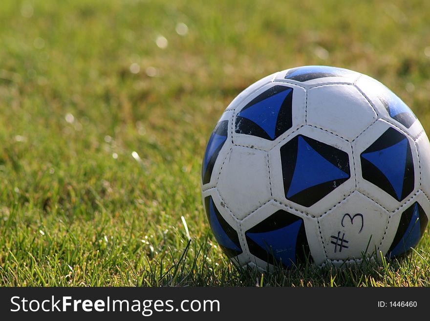 White and blue soccer ball on a field