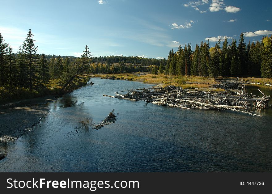 Small stream in Yellowstone National Park. Small stream in Yellowstone National Park