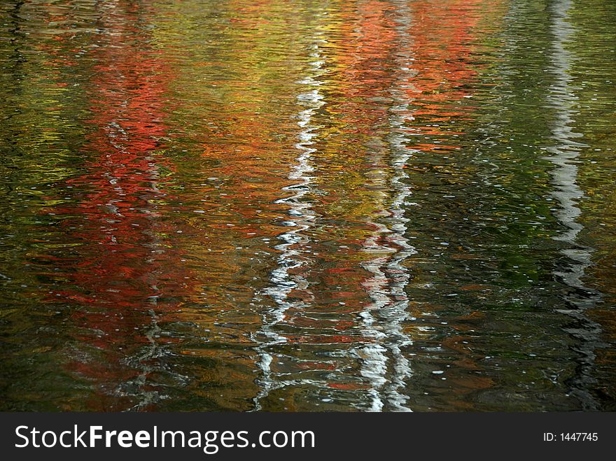 Autumn tree reflected in water. Autumn tree reflected in water