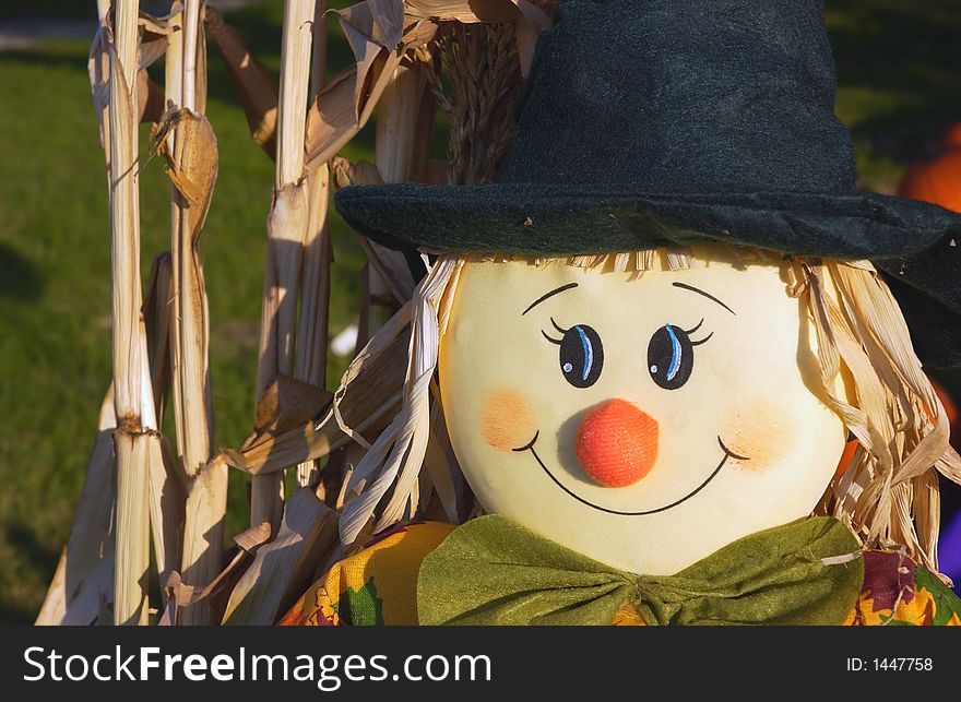 A close up of a scarecrows face