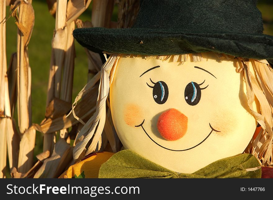 A close up of a scarecrows face