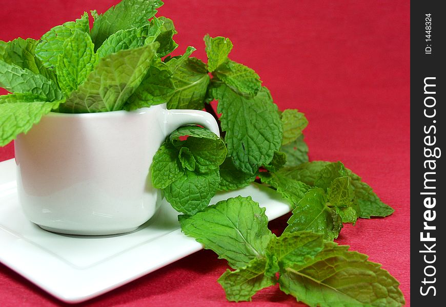 A cup of green leaves of mint on a red background