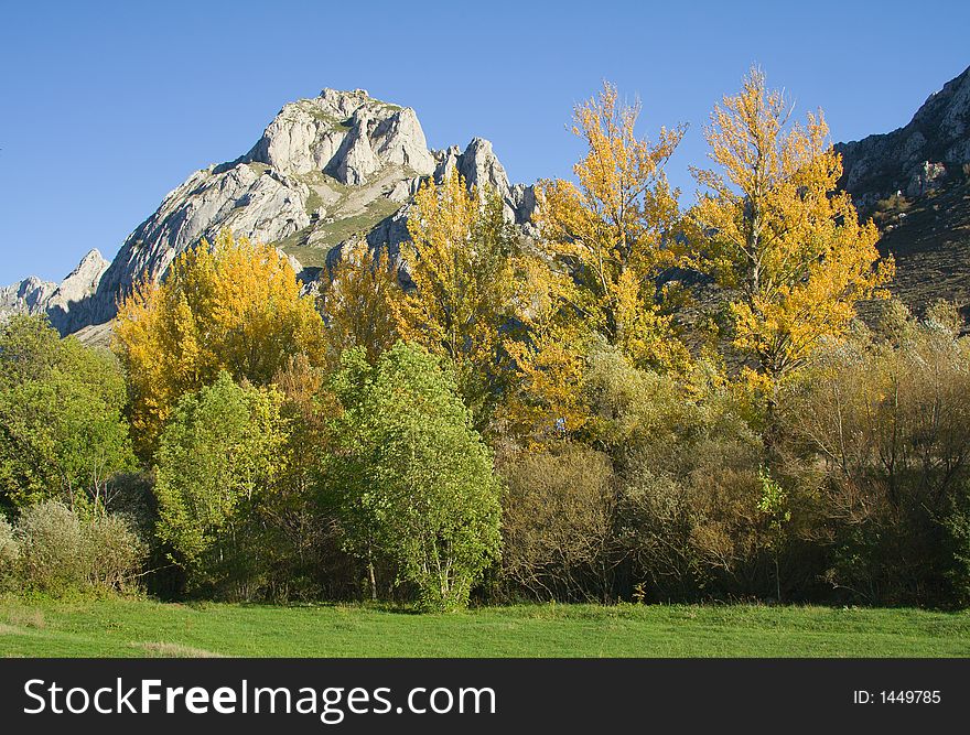 Mountain in autumn with green and yellow trees in the foreground, and blue sky