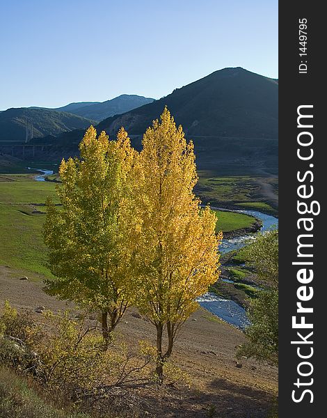 River valley with autumnal trees, one yellow one still green. River valley with autumnal trees, one yellow one still green