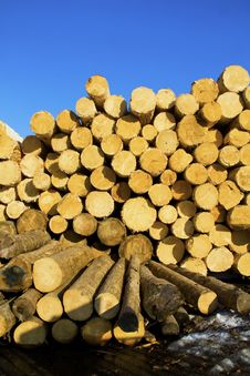 Pile Of Logs Stock Image Pile Of Logs Stock Image