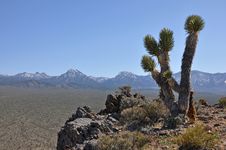 Nevada Desert Landscape Royalty Free Stock Images Nevada Desert Landscape Royalty Free Stock Images