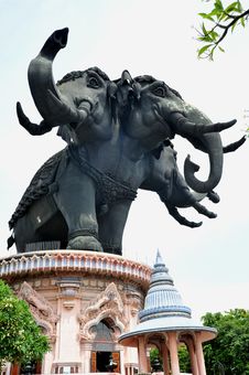 Three-headed Elephant Stock Photo Three-headed Elephant Stock Photo