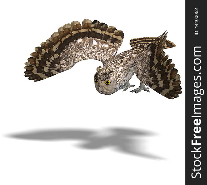 Little Owl Bird. 3D rendering with clipping path