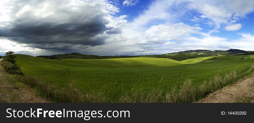 A panoramic view oa a green field. A panoramic view oa a green field
