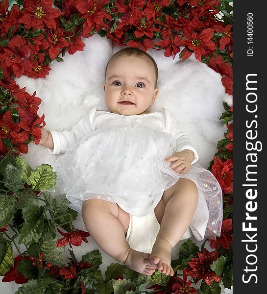 Angelic infant girl in white surrounded by red poinsiettas. Angelic infant girl in white surrounded by red poinsiettas