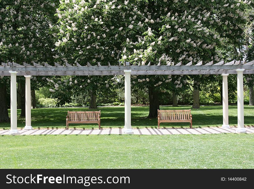 Two wooden benches along path under pergola and blooming trees. Two wooden benches along path under pergola and blooming trees.