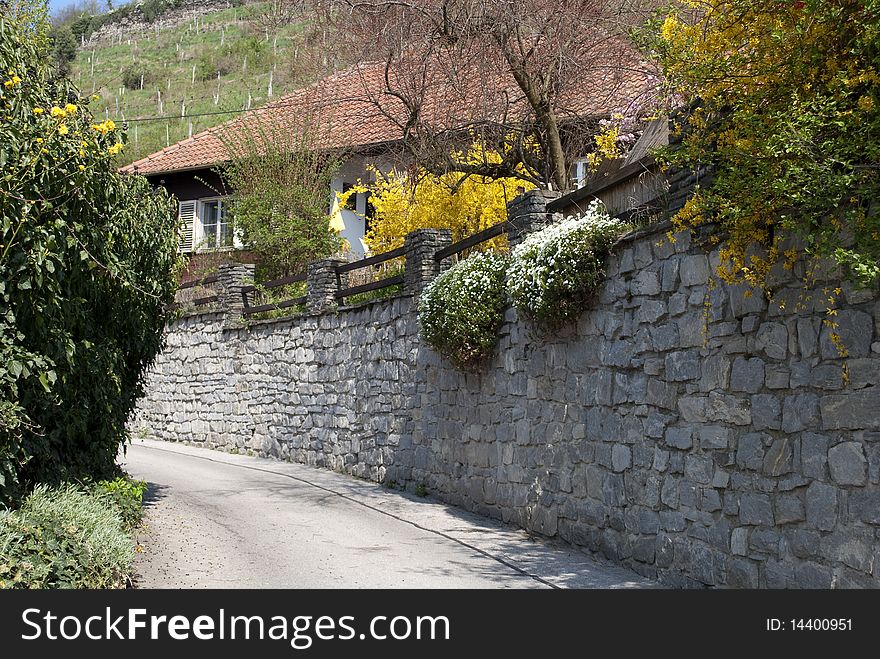 Rural house in Austria, spring, blooming shrubs, road and masonry