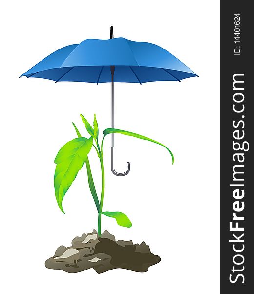 Young, green plants and blue umbrella on a white background. Young, green plants and blue umbrella on a white background.